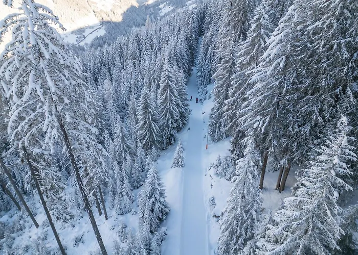 Moderne Mit Einer Wunderschoenen Aussicht In Der Residenz Silvretta